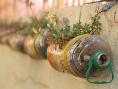 Upcycle/recycled,Water,Bottle,With,Flower,Plant