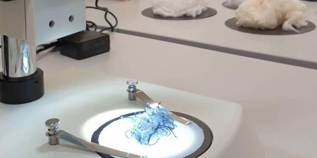 Il materiale viene prima del progetto