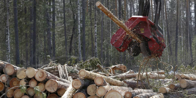 Fibre tessili da scarti agricoli: nuove materie prime, nuove sfide industriali