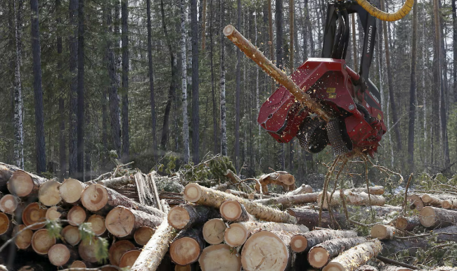 Fibre tessili da scarti agricoli: nuove materie prime, nuove sfide industriali